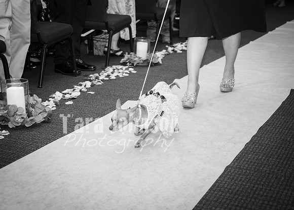 24 M. & K. Eaton Wedding [Full Collection B&W] - DH (177 of 352)