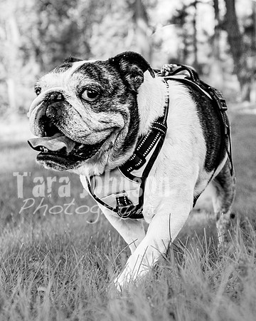 Anna Allen @ Central Park in Milford - BW - TJP (17 of 100)