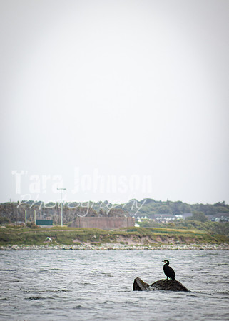 Galway Day Trip - Waterfront View (96 of 104)
