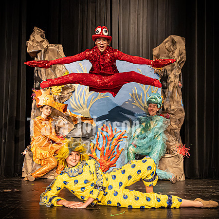 22 LHS Theatre - Mermaid Press Photo - TJP (2 of 4)