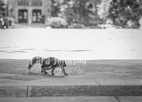 24 A. G. & S. Senior Photos - B&W (5 of 201)
