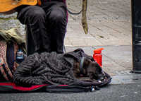 Galway Day Trip - Streets of Galway (17 of 51)
