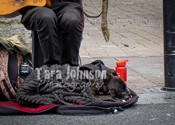 Galway Day Trip - Streets of Galway (17 of 51)