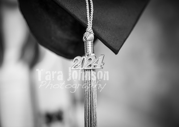 24 U of M Grad Photos - Audrey-236