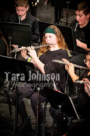 22 WLMS - March Madness 3-2 - TJP (65 of 264)