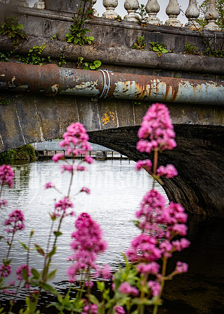 Galway Day Trip - Riverside Walk (14 of 57)