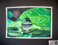 25 OLSM Art Show - Art Selections