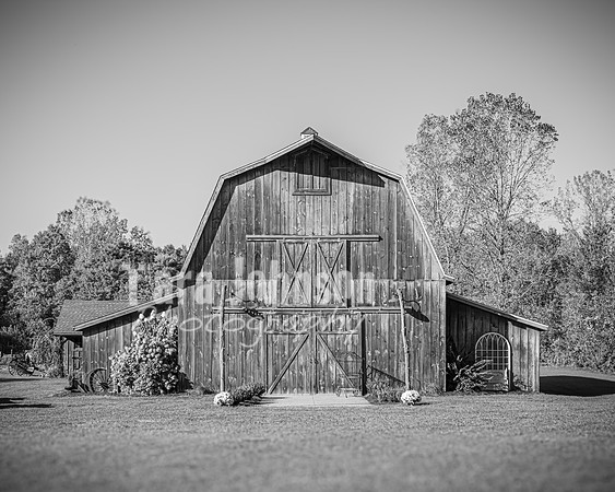 Michael & Ashlee McGrath - Complete - BW - TJP (50 of 428)