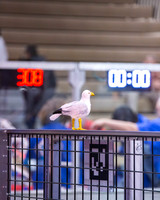 MHSRobotics2025 (47 of 688)