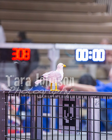 MHSRobotics2025 (47 of 688)
