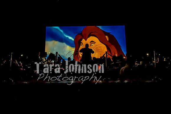 22 HVS Band Movie Night - TJP (47 of 150)