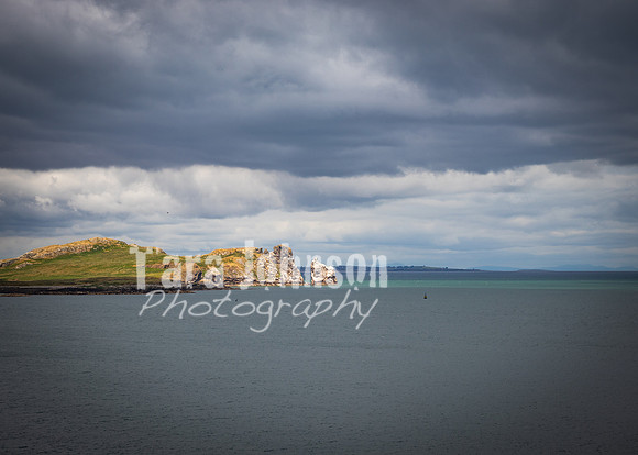 Howth Trip (22 of 55)