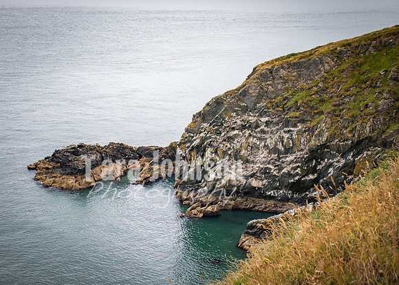 Howth Trip (47 of 55)