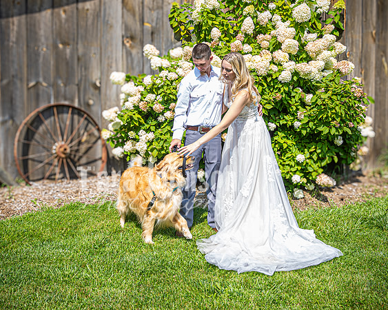 Doug & Bridget Law - Venue - TJP (152 of 551)