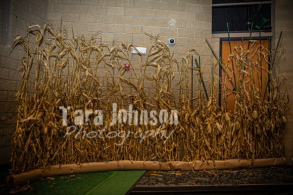 2024 MTC - Honk - Behind the Scenes - TJP (27 of 118)