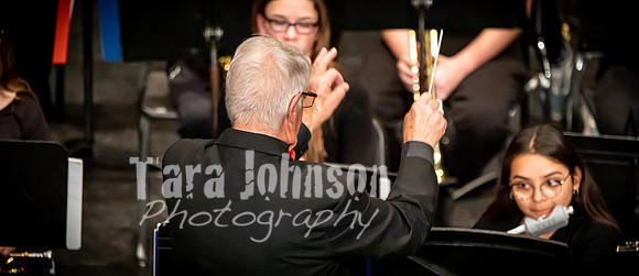 (web banners) 22 Winter WLMS - Band MM  (@ 72 ppi & 10 MB max) - TJP (13 of 32)