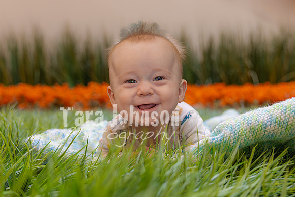 Teddy Briggs (and Abigail) - Color - TJP (15 of 78)