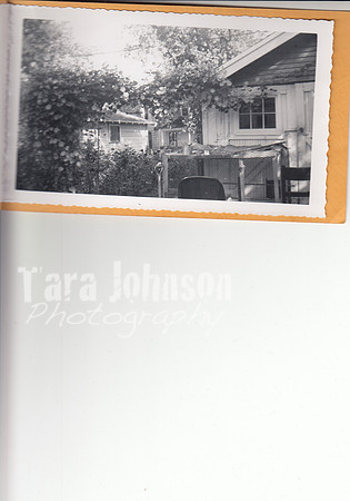 1953 Morning Glories