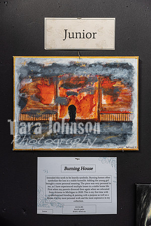 22 IAW Art Exhibition- Selections - TJP (15 of 63)