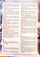 OEC - Glossary (14 of 18)