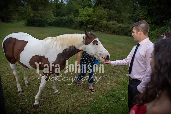 G. & A. Hofelich Wedding - Part 2 - TJP (305 of 474)