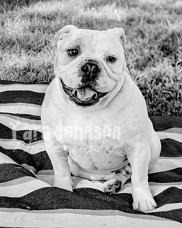 Anna Allen @ Central Park in Milford - BW - TJP (5 of 100)