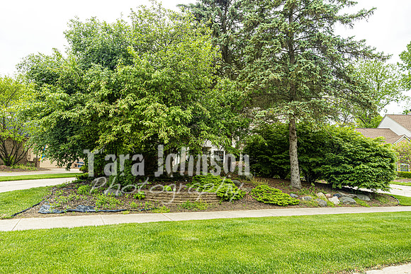 Homestead - 6739 Kingsmill (8MB max) - TJP (2 of 84)
