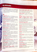 OEC - Glossary (1 of 18)