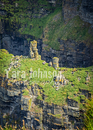 Cliffs of Moher Trip (46 of 96)