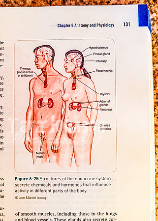 OEC - Visuals (59 of 460)