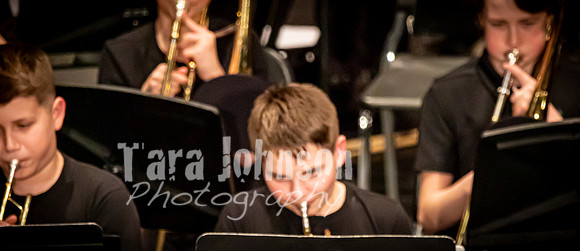 (web banners) 22 Winter WLMS - Band MM  (@ 72 ppi & 10 MB max) - TJP (8 of 32)