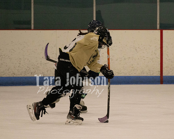Hockey vs Cancer #2 EDITED (32 of 50)