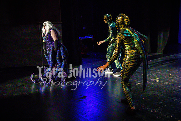 22 LHS Theater - Mermaid R2 - Act 1 - TJP (244 of 698)