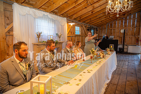 Michael & Ashlee McGrath - The Reception - TJP (26 of 53)