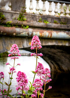 Galway Day Trip - Riverside Walk (15 of 57)