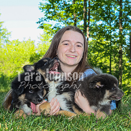 Bryde Family & Finish Lapphund Pups - TJP (42 of 60)