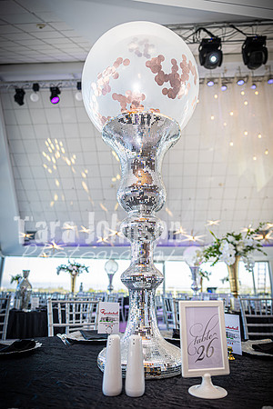 2025 U of D Prom - The Tail - TJP (2 of 53)