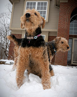 Woodrow & Lilly - TJP (15 of 64)