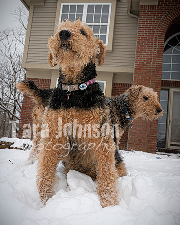 Woodrow & Lilly - TJP (15 of 64)