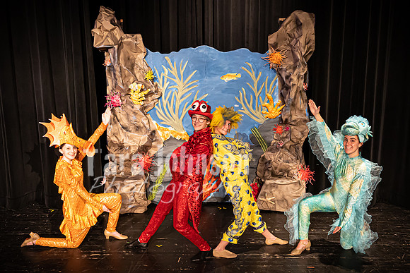 22 LHS Theatre - Mermaid Press Photo - TJP (4 of 4)