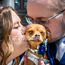 Mitch & Kelly - Bride & Groom - TJP (49 of 212)