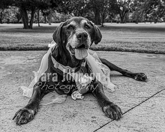 J. & D. Klann - Complete in BW - TJP (88 of 685)