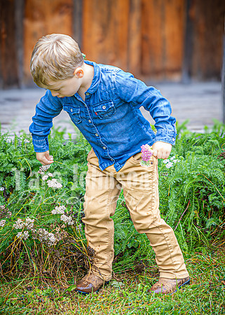 Wyman Family - Color - TJP (22 of 36)