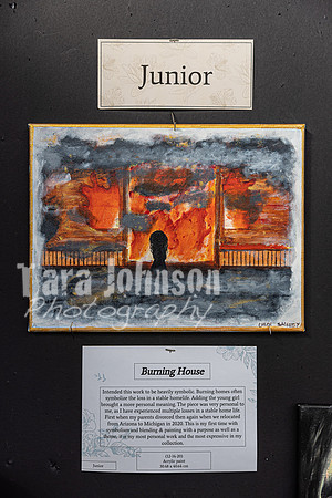 22 IAW Art Exhibition- Selections - TJP (15 of 63)