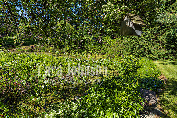 Homestead - 7011 Cedar Creek (8GB max) - TJP (36 of 109)