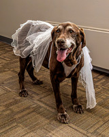 J. & D. Klann - Wedding Prep - TJP (12 of 40)