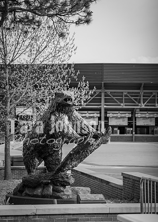 24 U of M Grad Photos - Audrey-106