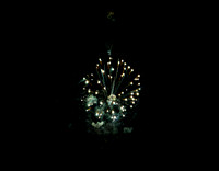 Highland Fireworks (6 of 31)
