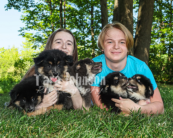 Bryde Family & Finish Lapphund Pups - TJP (48 of 60)