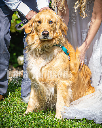 Doug & Bridget Law - Bridal Party - TJP (59 of 61)